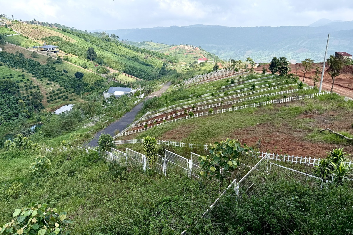 Đất nền phân lô ‘chôn vốn’ 4 năm, rao bán cắt lỗ không ai mua