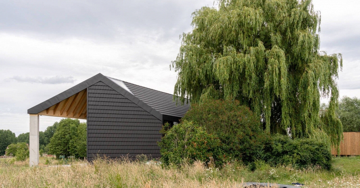 5 loại cây không nên trồng trước cửa nhà, vừa ảnh hưởng phong thủy lại có thể gây hại cho gia chủ