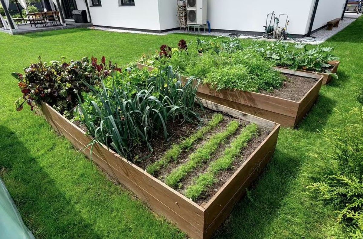 5 loại rau nên trồng trong tháng 4