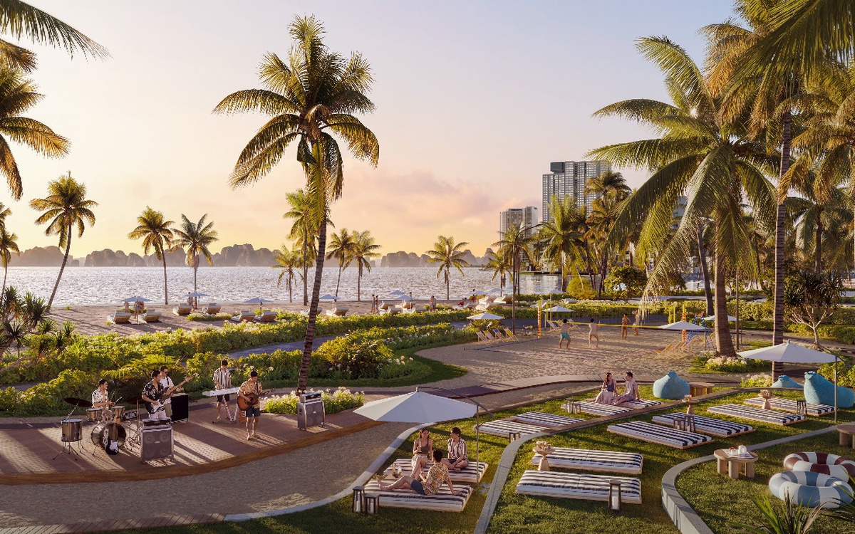 The Spotlight Collection: Khi vị thế “tâm điểm” khơi mở giá trị đầu tư bền vững