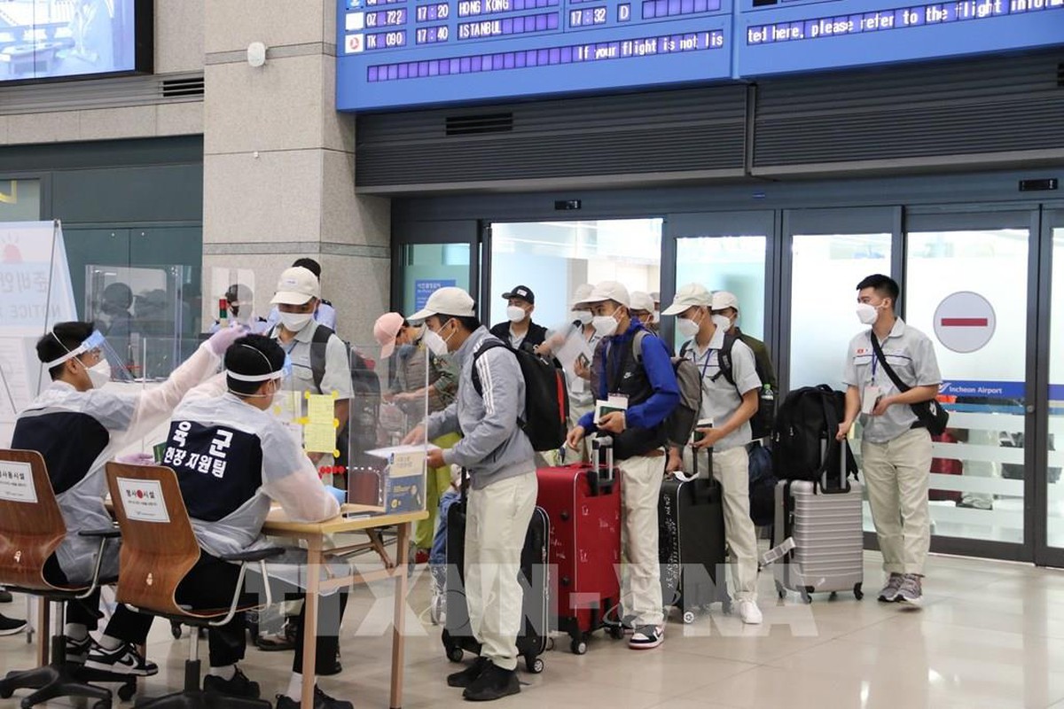 Lời khuyên cho những người sắp đi xuất khẩu lao động Hàn Quốc