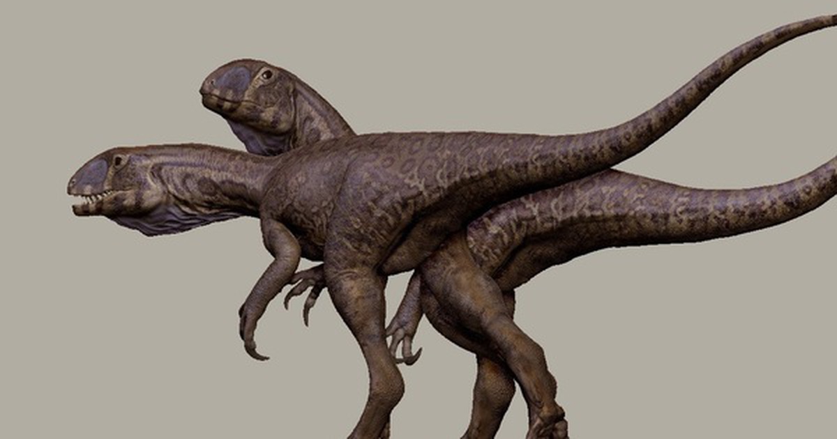 Quái vật 201 triệu tuổi "trỗi dậy" từ mỏ đá ở Mỹ