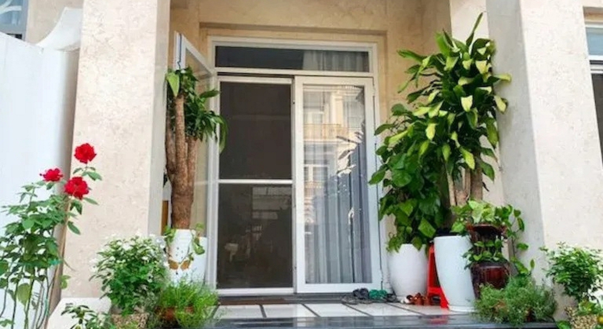 Lời khuyên cho những gia đình đang trồng cây trước cửa
