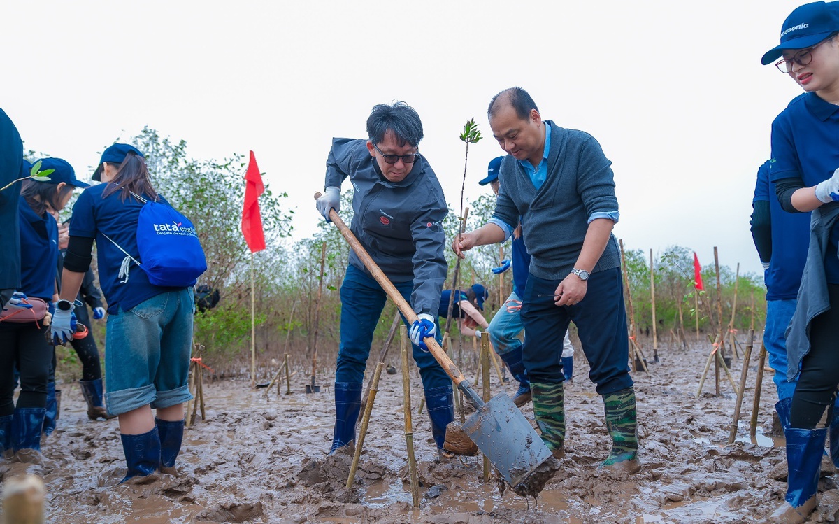 Panasonic Vietnam: Khi phát triển bền vững không phải đích đến mà là hành trình