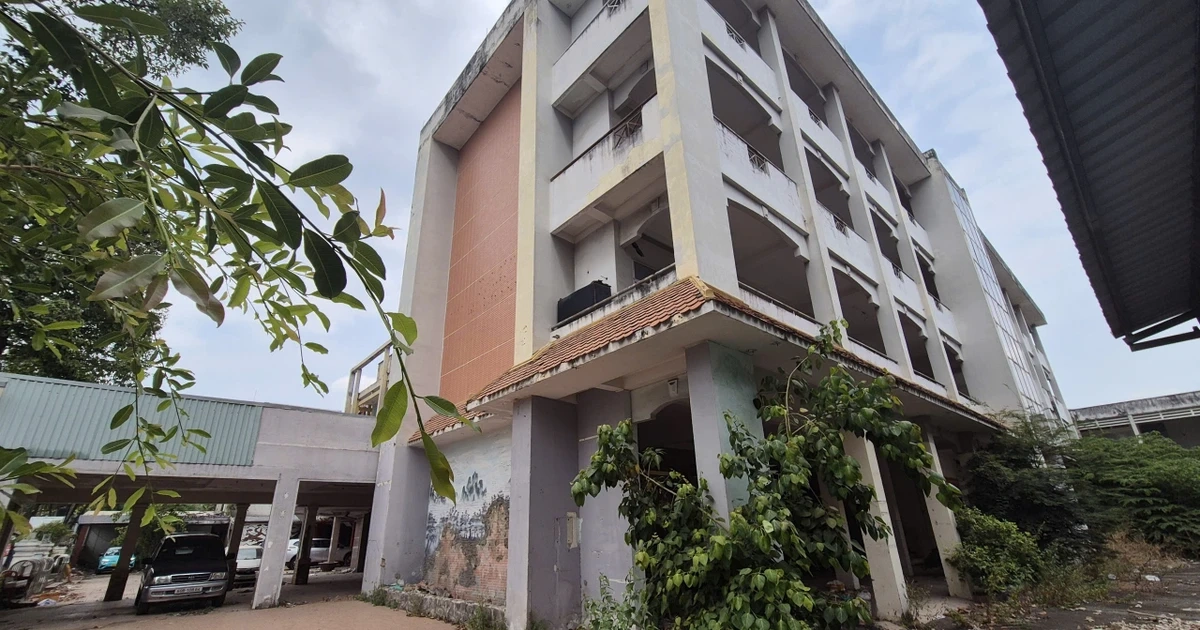 Cận cảnh nhiều trụ sở bỏ hoang, cỏ mọc um tùm... ở Đồng Nai