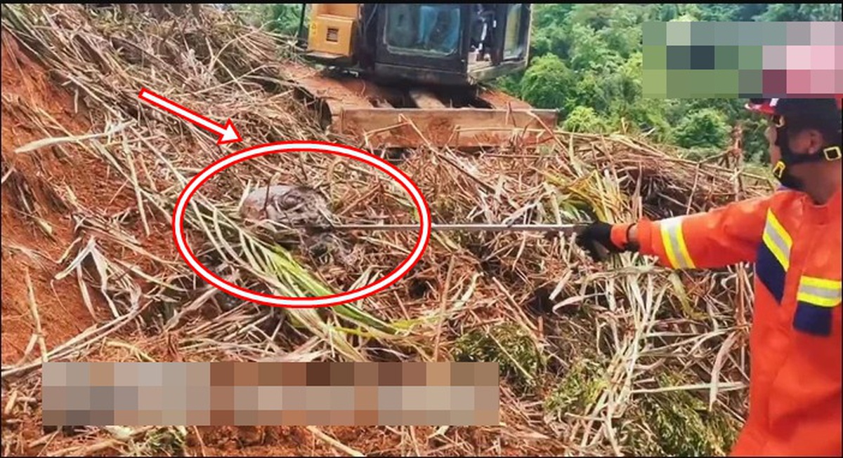 Đang dọn cỏ, người đàn ông lạnh gáy khi thấy "khối đen" ngọ nguậy: Lực lượng chức năng nhanh chóng có mặt