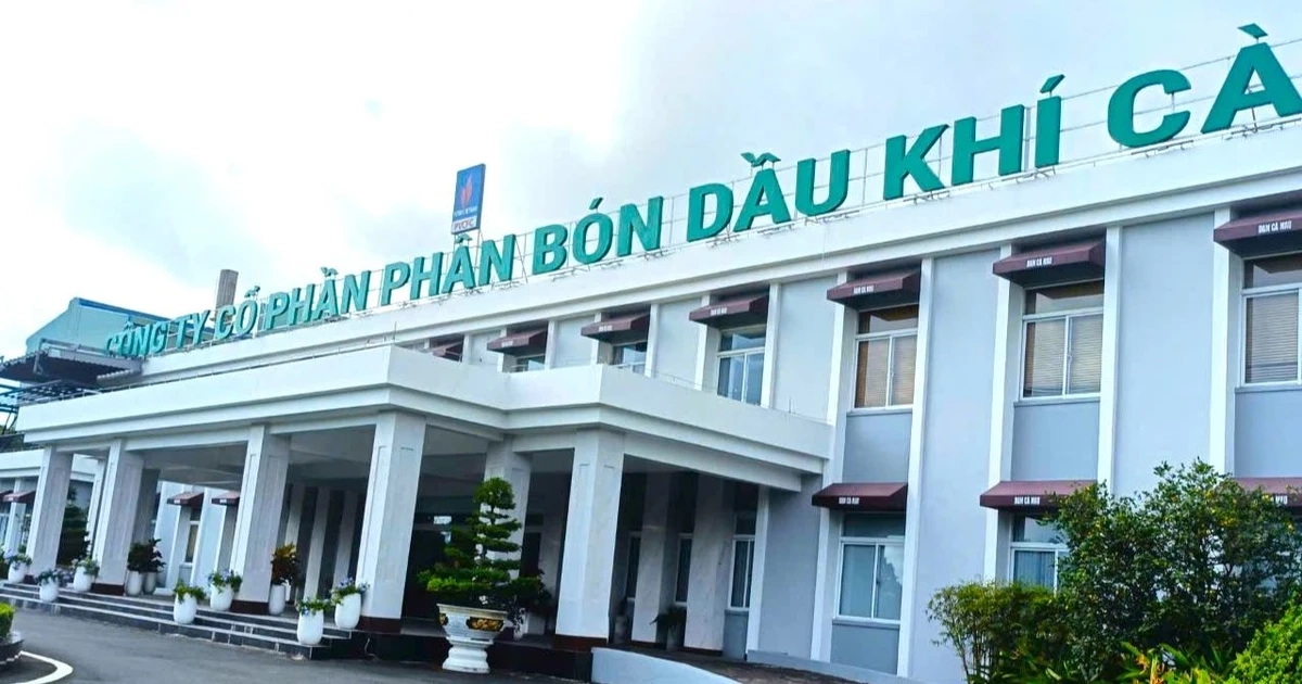Lãnh đạo đạm Cà Mau nói về nguy cơ cạn mỏ khí