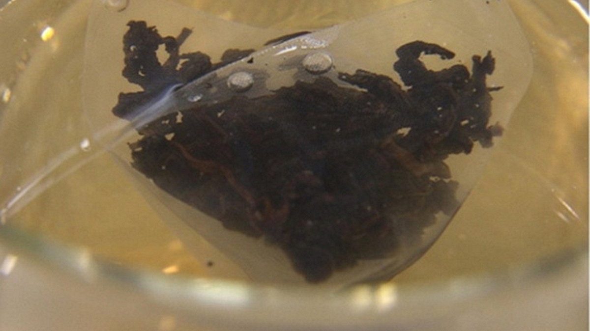 6 thói quen hàng ngày khiến bạn nuốt hàng tỷ hạt vi nhựa: Số 1 người Việt làm nhiều, mỗi lần đưa 11.6 tỷ vi nhựa vào người