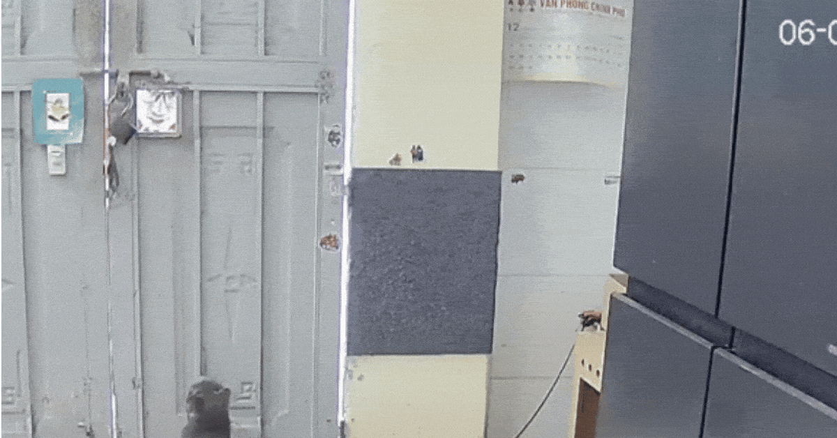 Shipper đến phòng trọ giao hàng, chuyện gì xảy ra khiến chủ trích xuất camera đăng lên mạng?