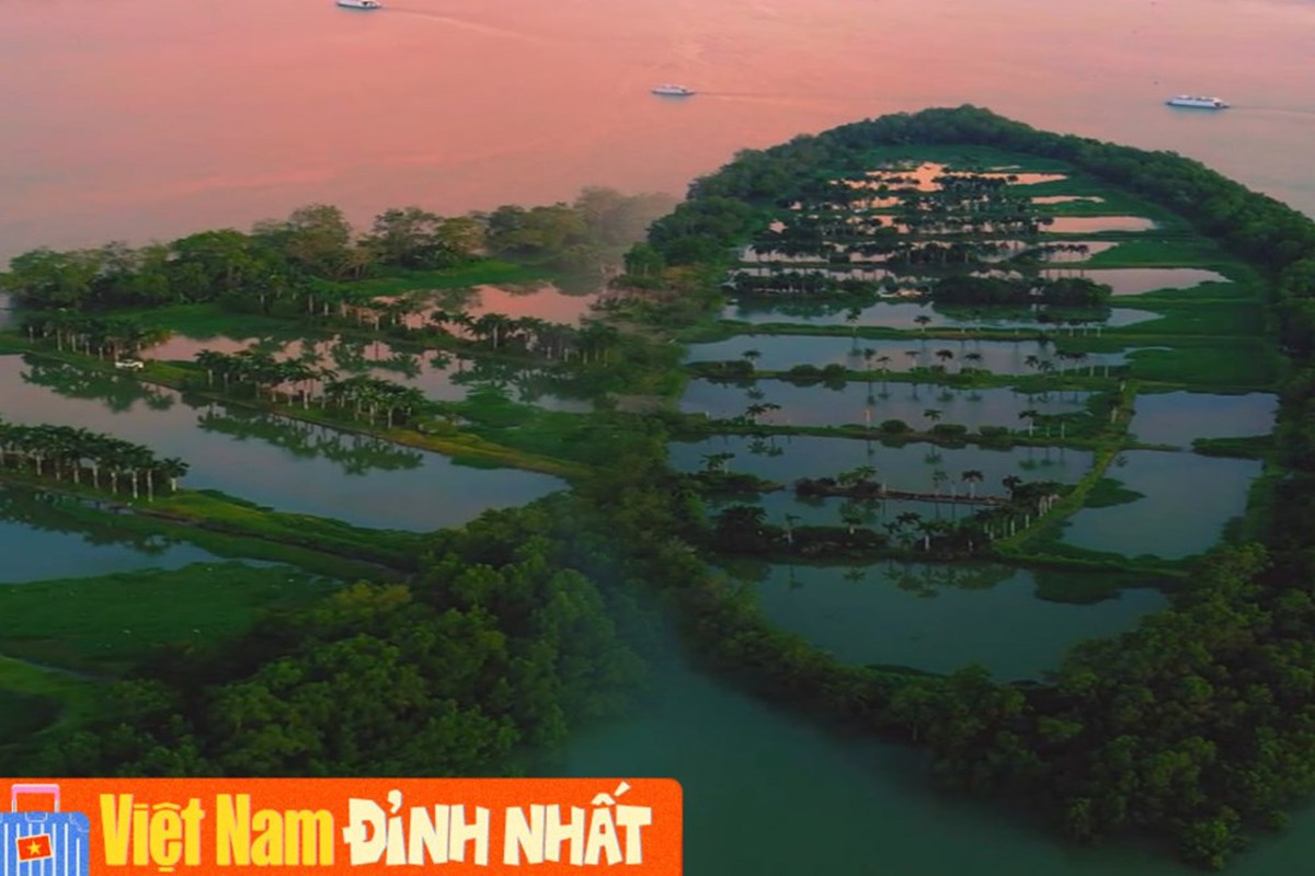Sự thật về dải cù lao xanh mướt như đồ họa AI tại Cần Thơ