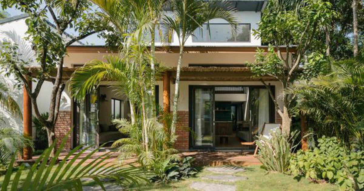 Gia đình đang trồng cau trước nhà cần biết điều này