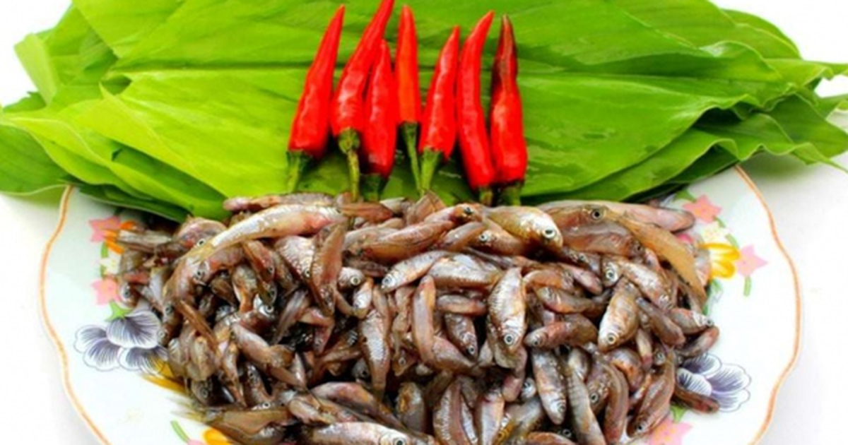 Loại cá "nhà nghèo" xưa ra đồng bắt về ăn, nay thành đặc sản ngon và hiếm giá 400.000 đồng/kg vẫn hút khách