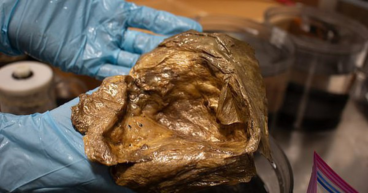 Giải mã "trứng quái vật ngoài hành tinh" xuất hiện ở 3.200m dưới đáy biển khiến cả thế giới đau đầu suốt 3 năm qua