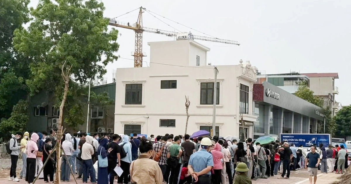 Tự ý "phân lô bán mộ" hơn 21.000 m² đất nông nghiệp