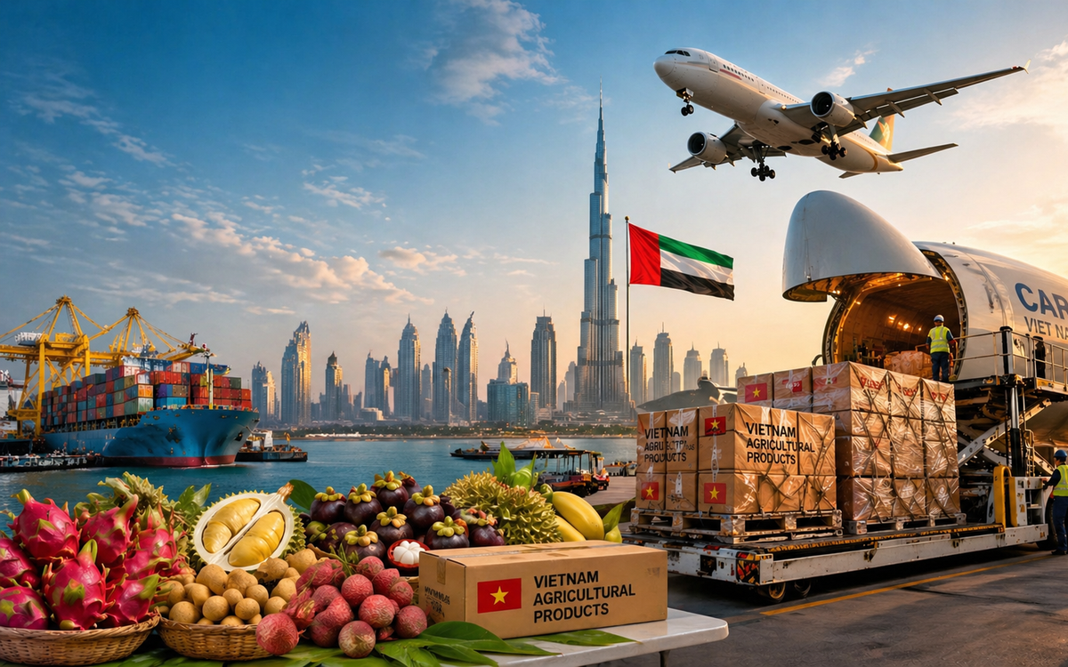 Lần đầu tiên siêu tập đoàn 8 tỷ USD thuê máy bay chở 100 tấn rau quả Việt Nam, tin cực vui cho doanh nghiệp xuất khẩu sang Trung Đông