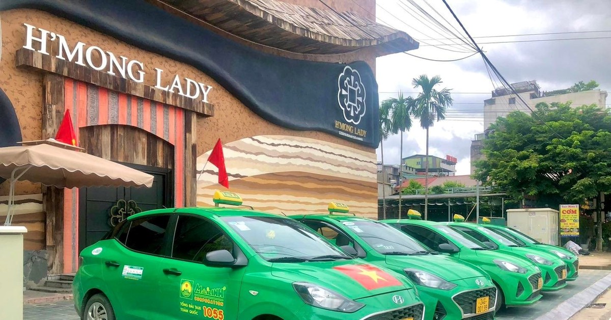 Ngân hàng siết nợ 5 chiếc xe VinFast VF5 Plus của Taxi Mai Linh