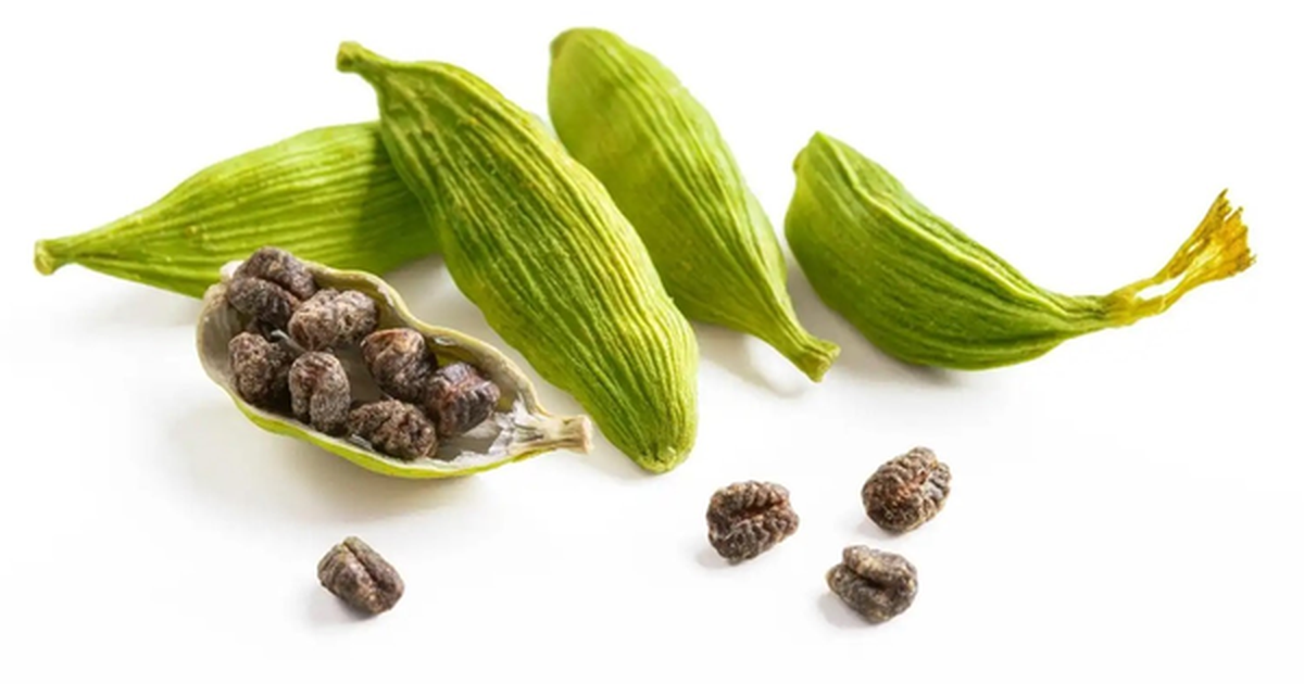 Loại hạt "đắt đỏ bậc nhất thế giới", chỉ hơn 10 nước trồng được, Việt Nam cũng có