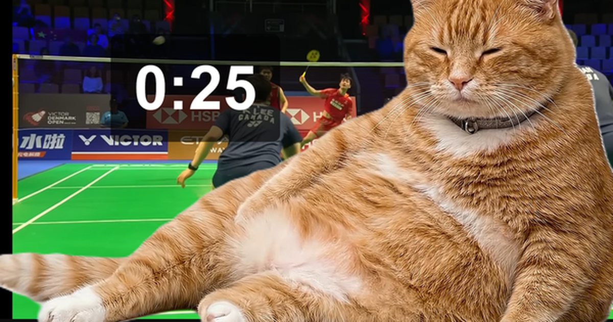 Ứng dụng hay: Chú mèo béo đáng yêu "nằm chình ình" trên màn hình để nhắc nhở mọi người không lướt mạng xã hội nữa