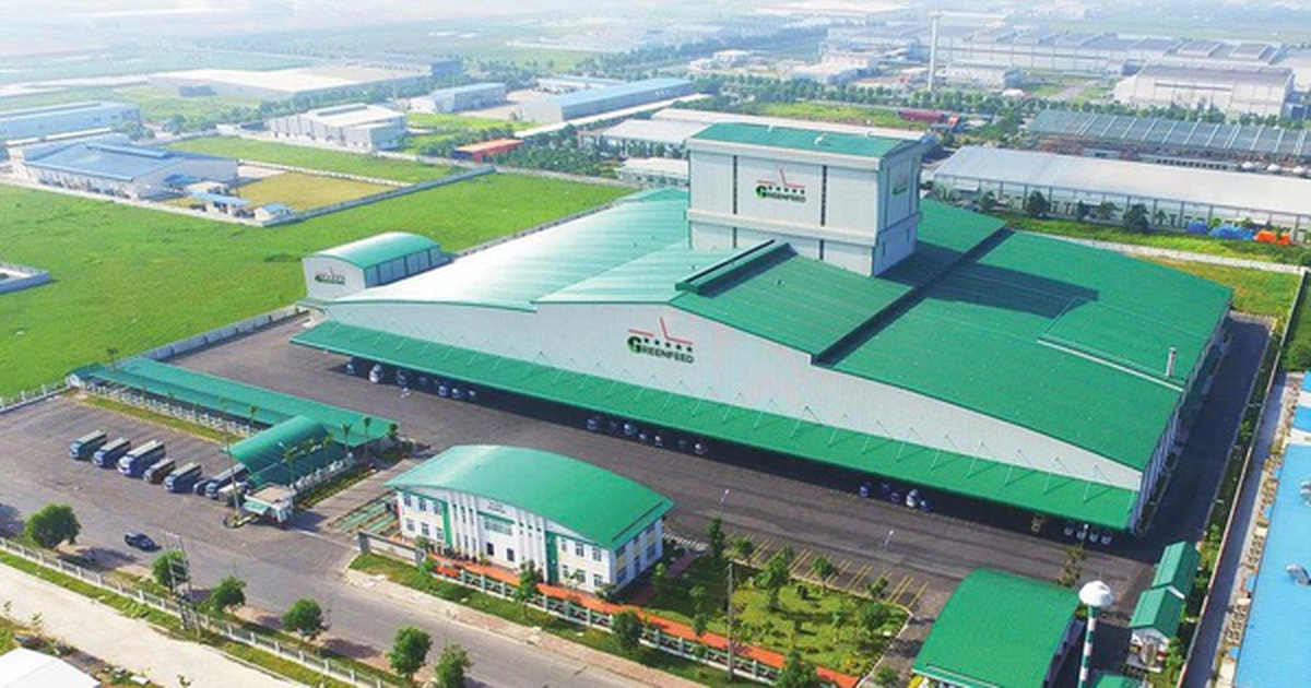 Greenfeed Việt Nam lãi ròng hơn 3.650 tỷ đồng trong năm 2025