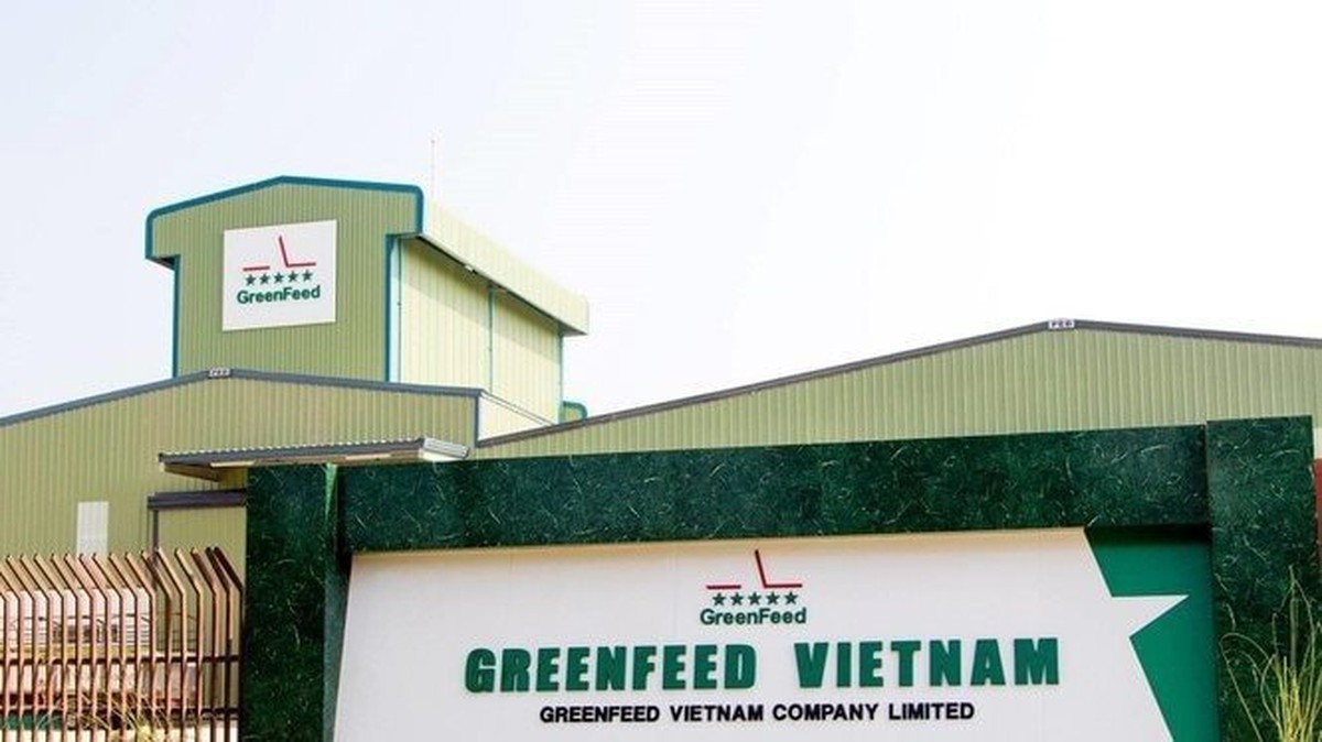 Một công ty sản xuất thức ăn chăn nuôi báo lãi kỷ lục hơn 10 tỷ đồng mỗi ngày