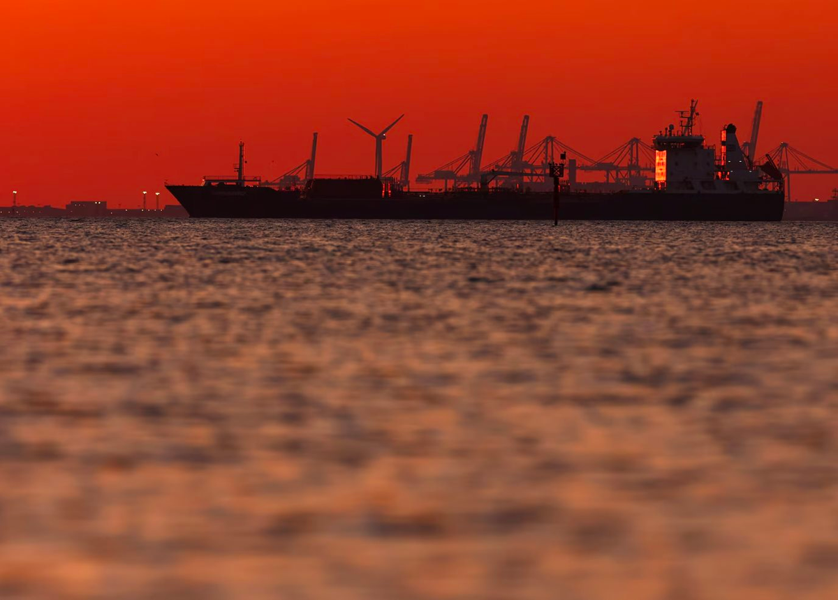 Nga đón "lộc từ trên trời rơi xuống": Sau dầu và khí đốt, cả thế giới "khát" một loạt mặt hàng khác, Moscow thu về vài chục tỷ USD "dễ như ăn kẹo"