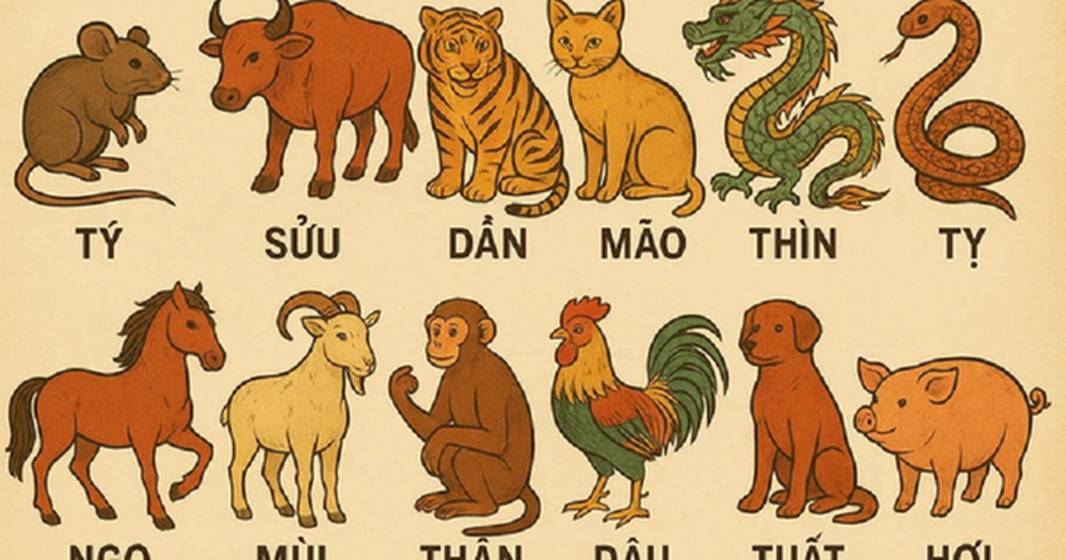 Càng lớn tuổi càng an nhàn: 4 con giáp có tài chính ổn định, hậu vận hạnh phúc và ít áp lực tiền bạc