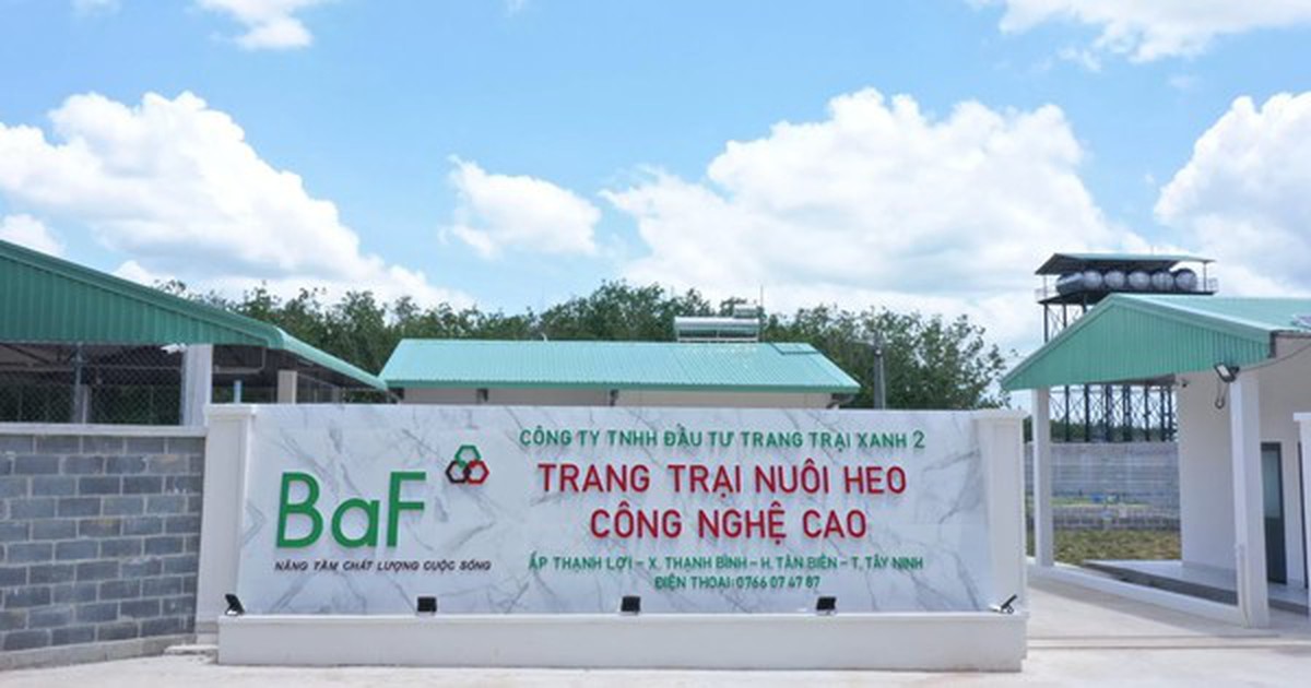 BaF Việt Nam chốt ngày tổ chức ĐHĐCĐ thường niên năm 2026