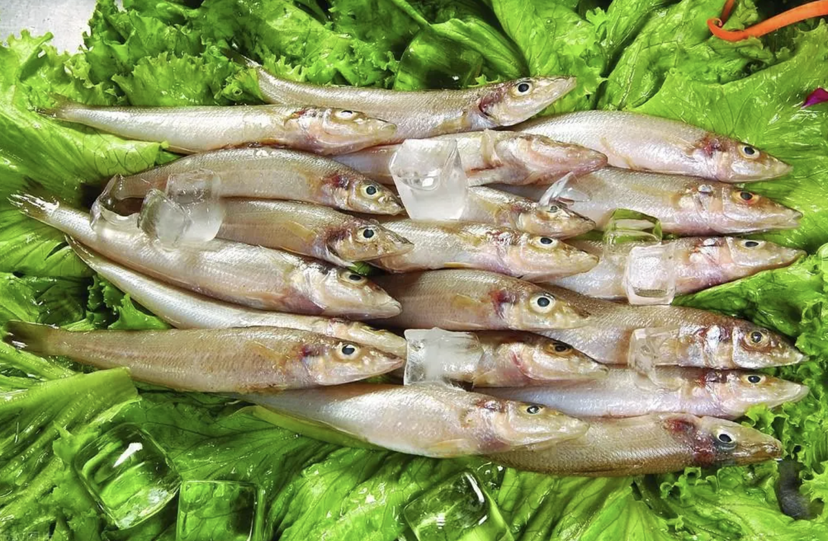 Nghiên cứu ĐH Harvard: 1 LOẠI cá siêu tốt, giúp giảm 31% nguy cơ ung thư đại trực tràng, Việt Nam rất sẵn và rẻ nhưng ít nhà ăn