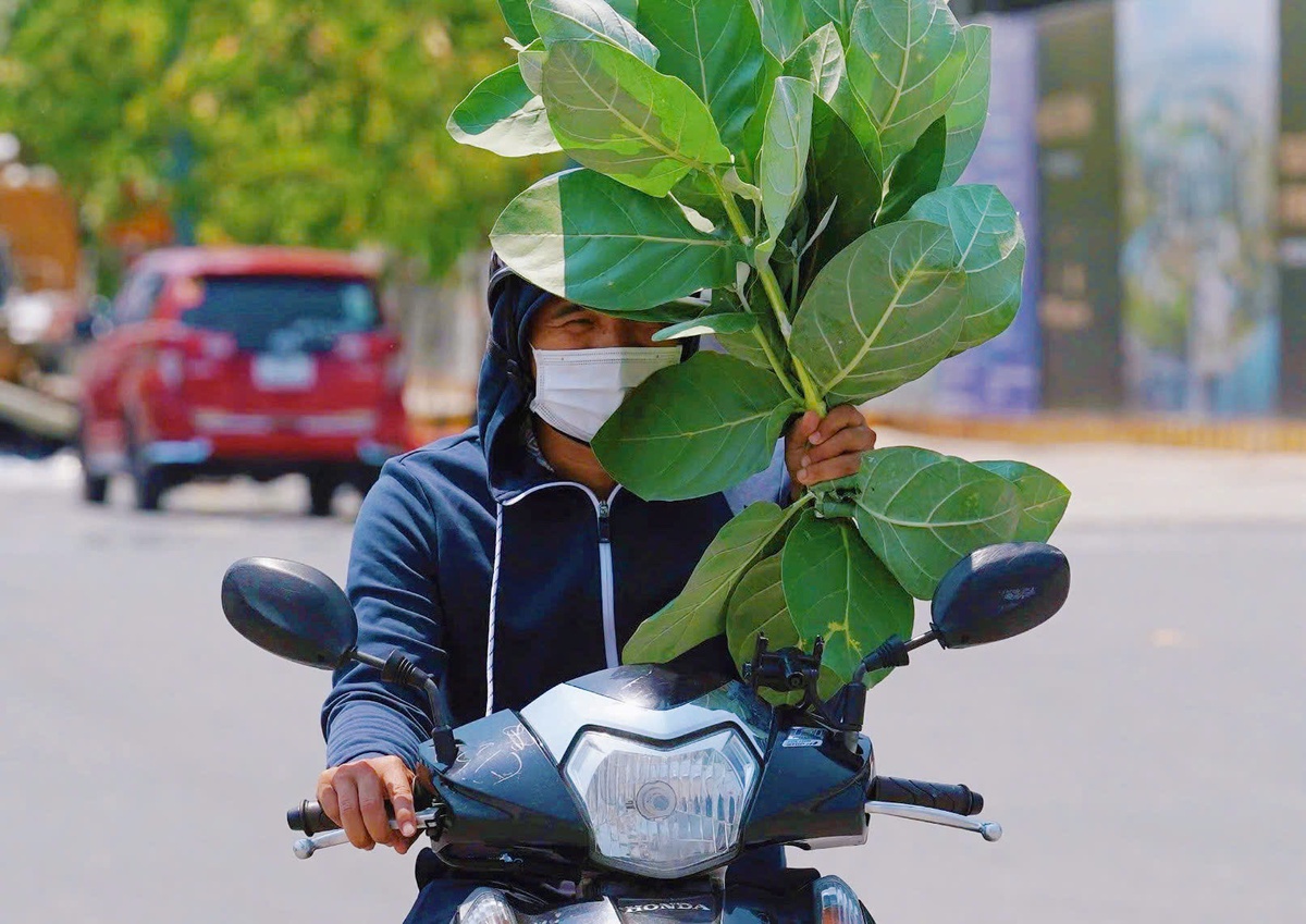 Nam Bộ hứng nắng nóng gay gắt trong tháng 4, có nơi chạm ngưỡng 39°C