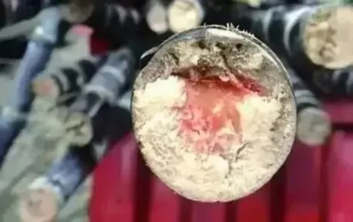 Loại thức ăn này độc hơn cả rắn vào dịp Tết Thanh Minh!