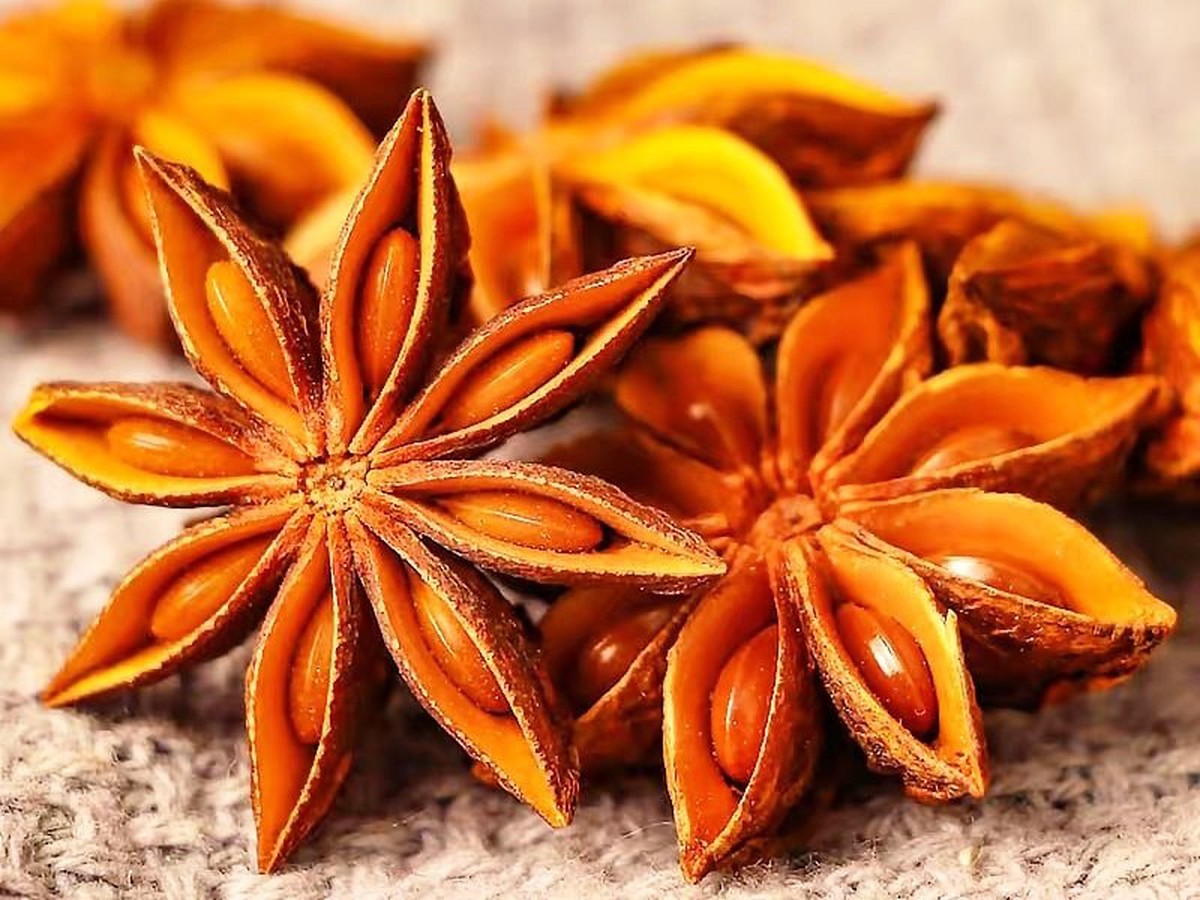 Loại hoa khô ‘cực phẩm’ giúp Việt Nam 3 tháng thu về hơn 11 triệu USD, Ấn Độ mê mẩn