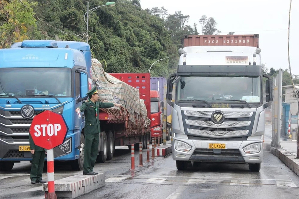 Tạm ngưng hiệu lực Nghị định 46 và Nghị quyết 66.13