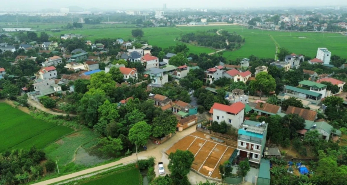 Hà Nội: Cảnh báo thông tin sai lệch để thổi giá...