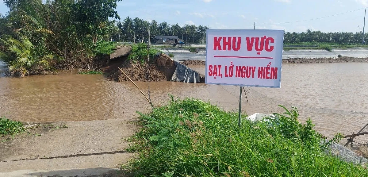 Vĩnh Long dự chi 35.800 tỷ đồng, di dời gần 1.700 hộ dân để chống sạt lở
