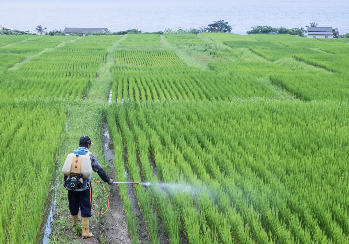 Phát minh của Trung Quốc xoay chuyển ngành phân bón: Ép chất thải độc hại thành nguyên liệu quý cho nông nghiệp, hiệu suất cao gấp 3 lần bình thường