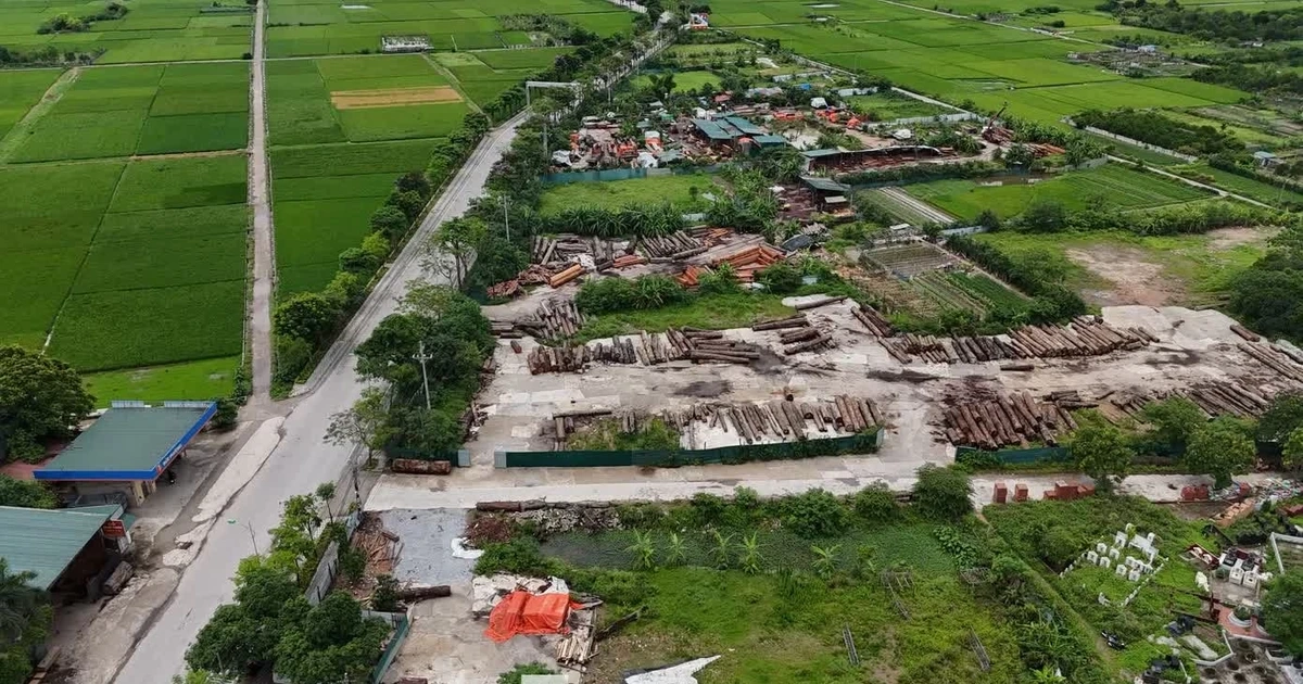 Hà Nội thông tin về tiến độ 2 dự án khu đô thị đa mục tiêu