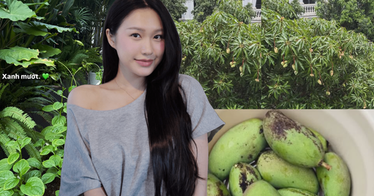 Doãn Hải My ở biệt thự mấy chục tỷ vẫn tự trồng cải xanh, cà chua, mồng tơi, vác rổ đi hái xoài như nông dân chính hiệu