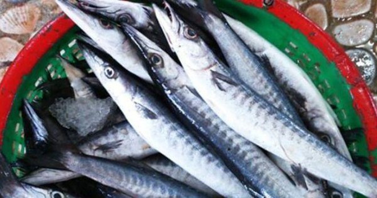 Loại cá nhọn hoắt có tên cực lạ, gây "nghiện" bởi vị đậm tự nhiên hiếm có