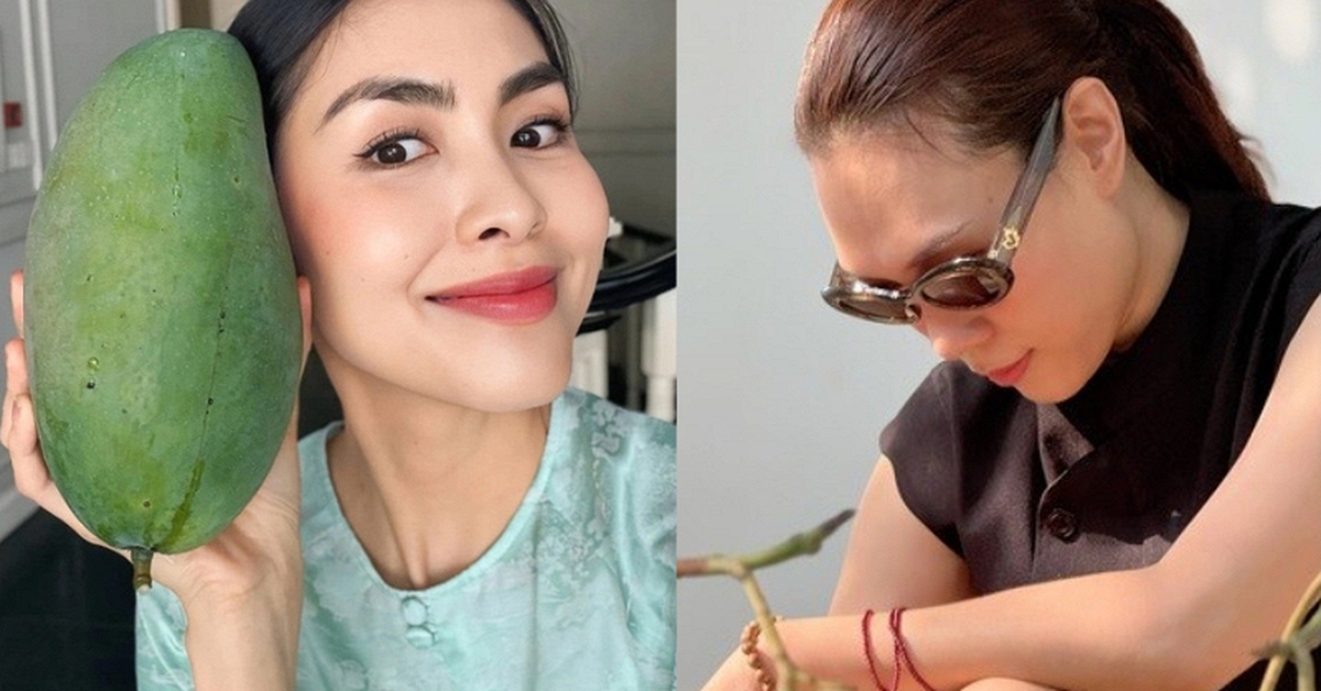 Tăng Thanh Hà, Mỹ Tâm đua nhau trồng 1 loại cây cho quả lúc lỉu: Ngon, sạch chẳng lo thuốc trừ sâu còn xóa nhăn da