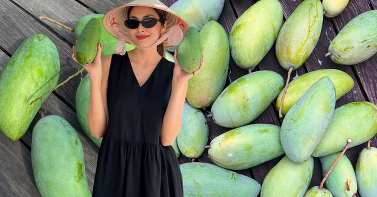 Tăng Thanh Hà - "nông dân trồng xoài" ở biệt thự triệu đô