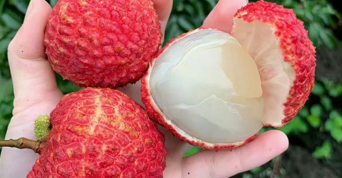 5 điều cấm kỵ khi ăn quả vải nhiều người Việt đang vô tình mắc phải: "Ngọt miệng" nhưng dễ hại thân
