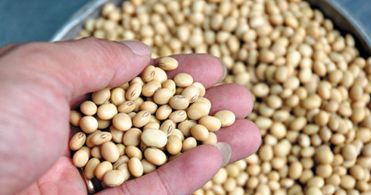 Loại thực phẩm phụ nữ càng ăn càng khỏe đẹp nhưng nhiều người lại sợ