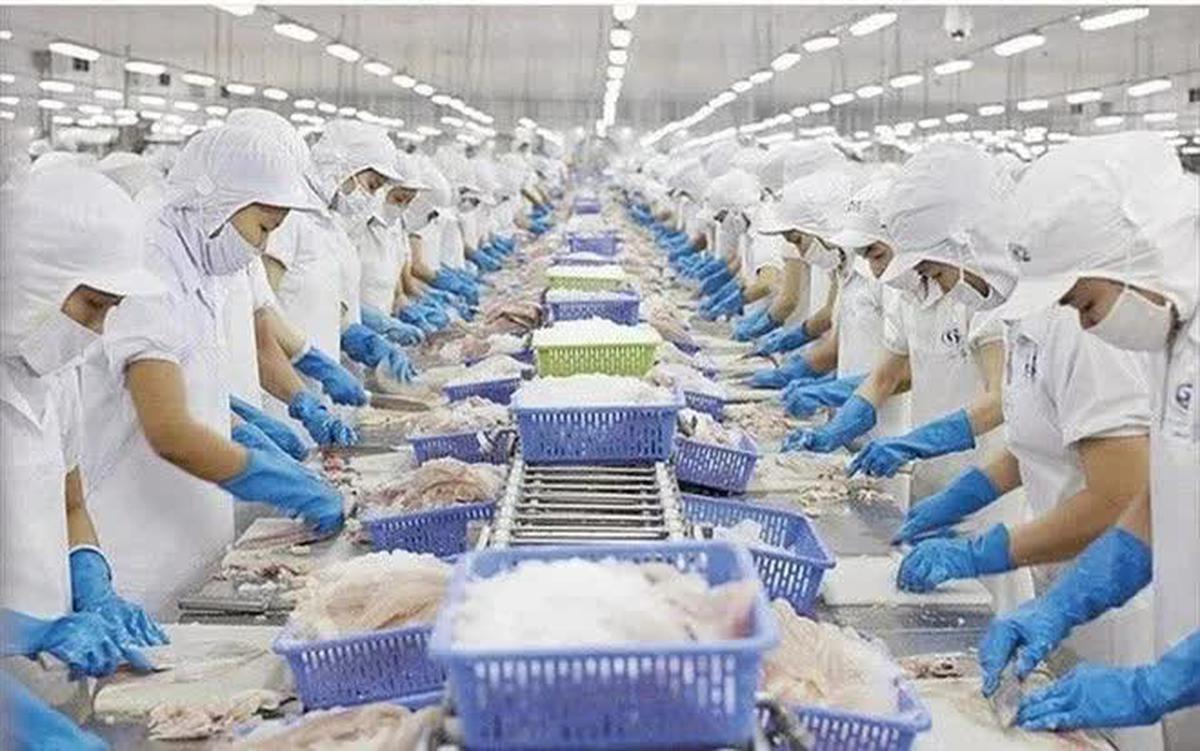 Xuất khẩu thủy sản hướng tới mục tiêu 12 tỷ USD