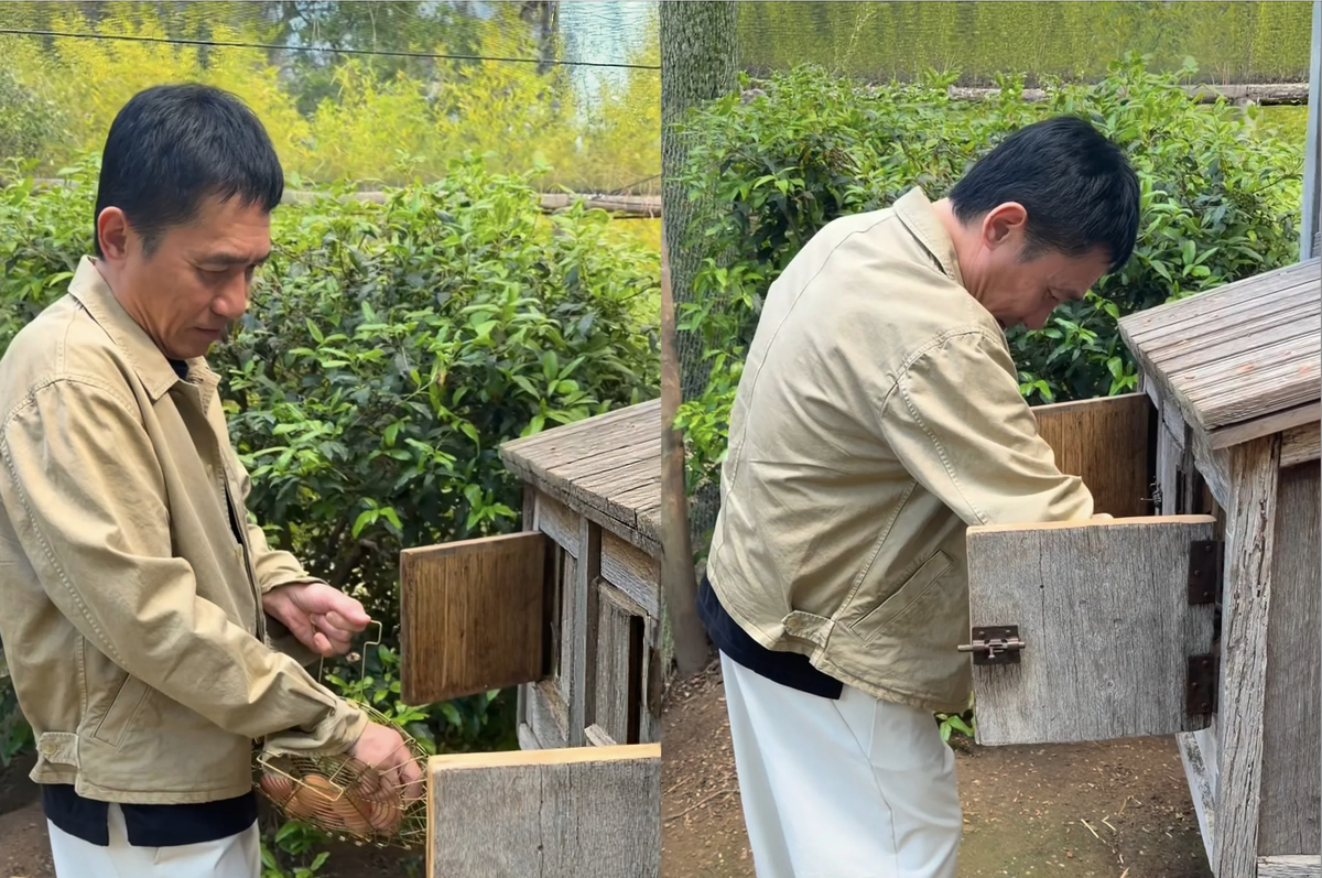 “Ông hoàng” điện ảnh Hồng Kông: U70 vẫn phong độ ngay cả khi nhặt trứng, lựa chọn “sống chậm” bên cạnh người bạn đời là tài nữ xinh đẹp