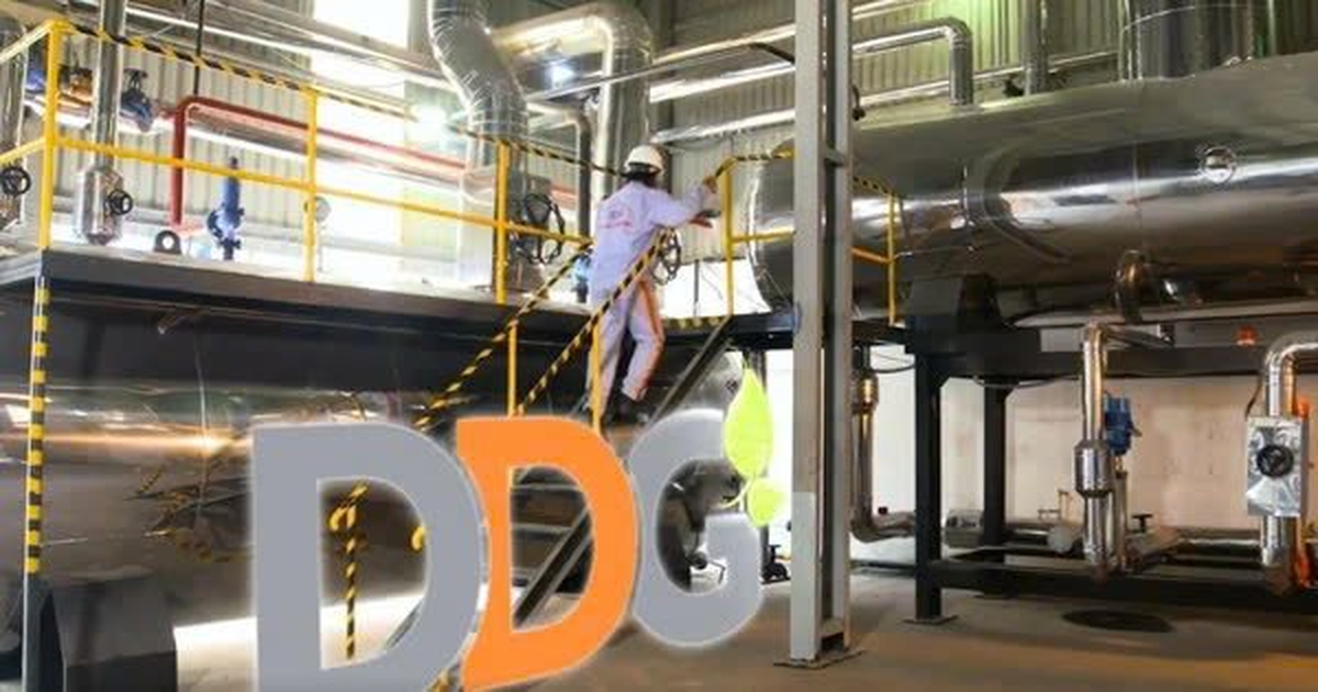 DDG đối diện nguy cơ hủy niêm yết sau chuỗi kinh doanh thua lỗ kéo dài