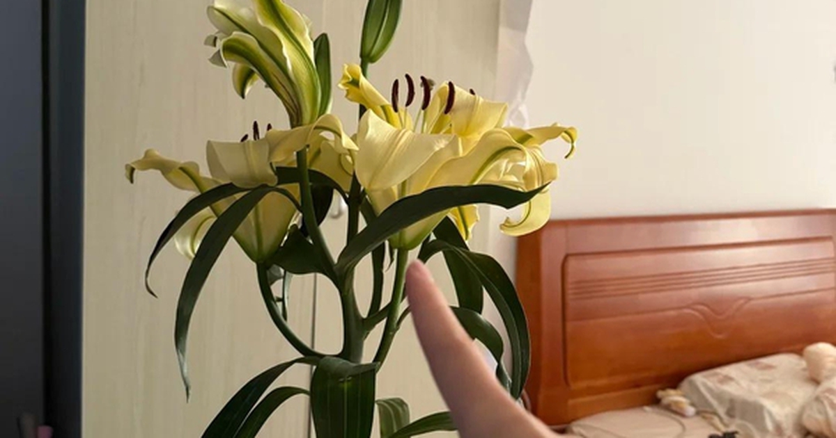Kiểm tra phòng ngủ của bạn: Nếu vẫn giữ 6 món đồ này, giấc ngủ có thể đang “xuống cấp” từng ngày mà bạn không nhận ra