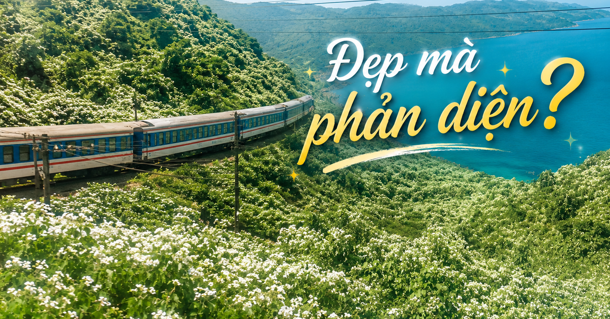 "Thiên đường hạ giới" đang phủ trắng muốt đèo Hải Vân khiến bao người đắm say: Đẹp đến đâu, đáng lo đến đó!