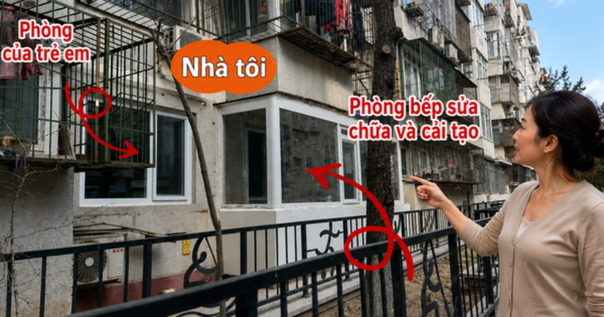 “Nhiều người chê căn hộ tầng 1 vừa cũ vừa tối, nhưng sau nửa năm sống ở đây, tôi thấy mình đã chọn đúng”: Câu chuyện khiến nhiều người suy nghĩ lại về chữ “an cư”