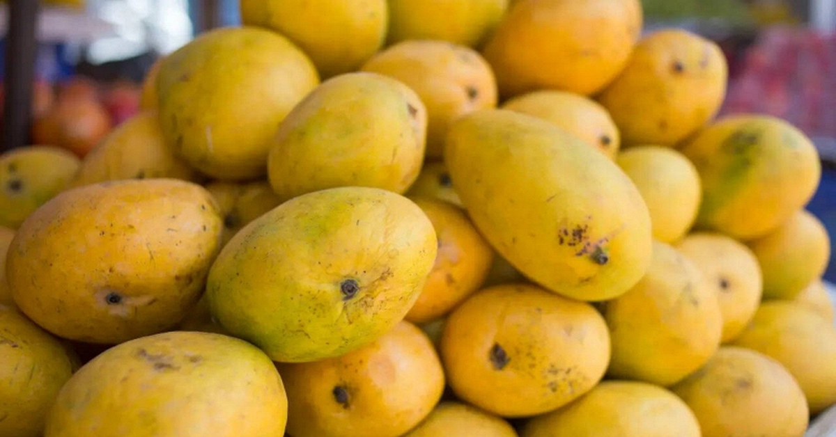 Lời khuyên khi mua xoài
