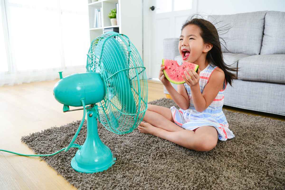 Mẹo làm mát nhà thông minh chỉ bằng quạt điện trong ngày "nắng điên đảo"